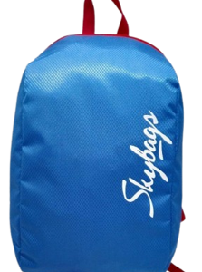 SKYBAGS SLEEK DAYPACK